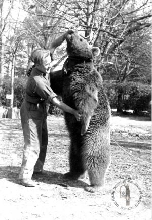 Corporal Wojtek: The Legendary Polish Bear – The Blueprint