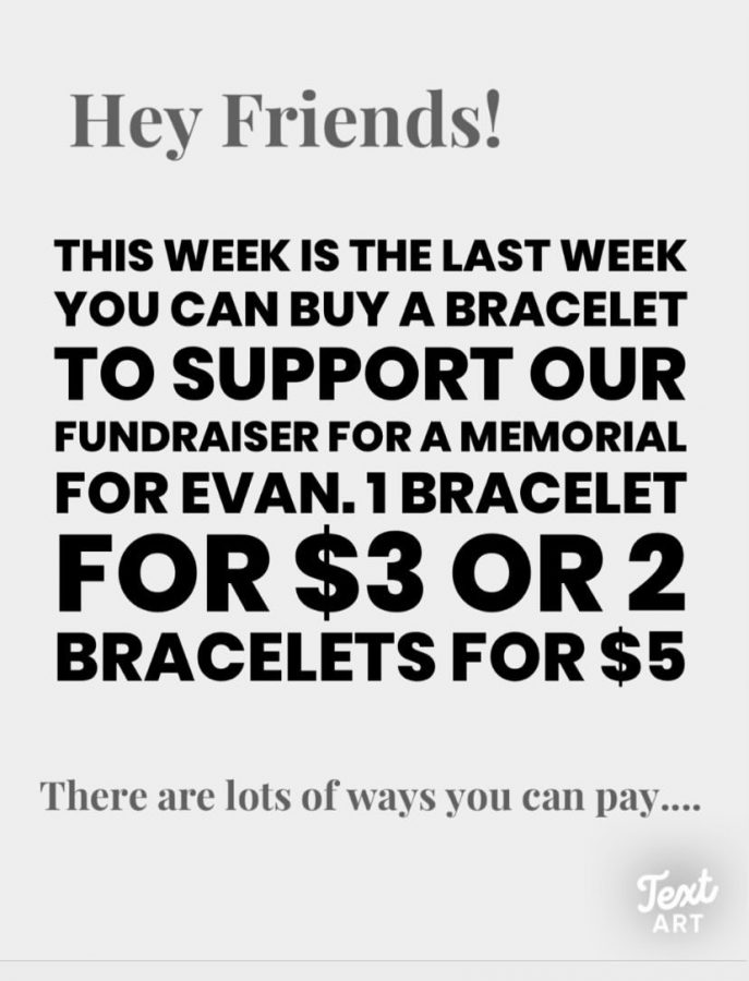 Bracelets for Evan